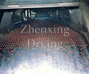 RL Series Melting Granulator