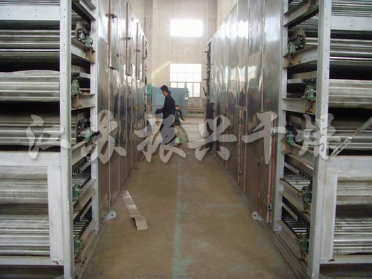DWT Series Vegetable Dehydration Dryer