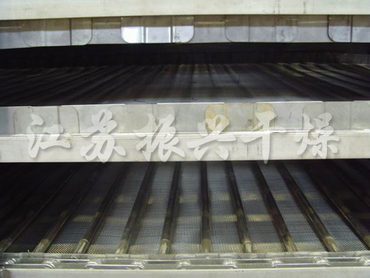 DWT Series Vegetable Dehydration Dryer