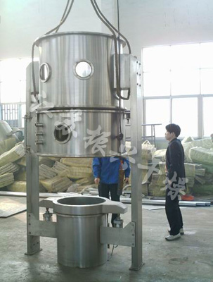 FL FG Series Fluidizing And Granulating Dryer